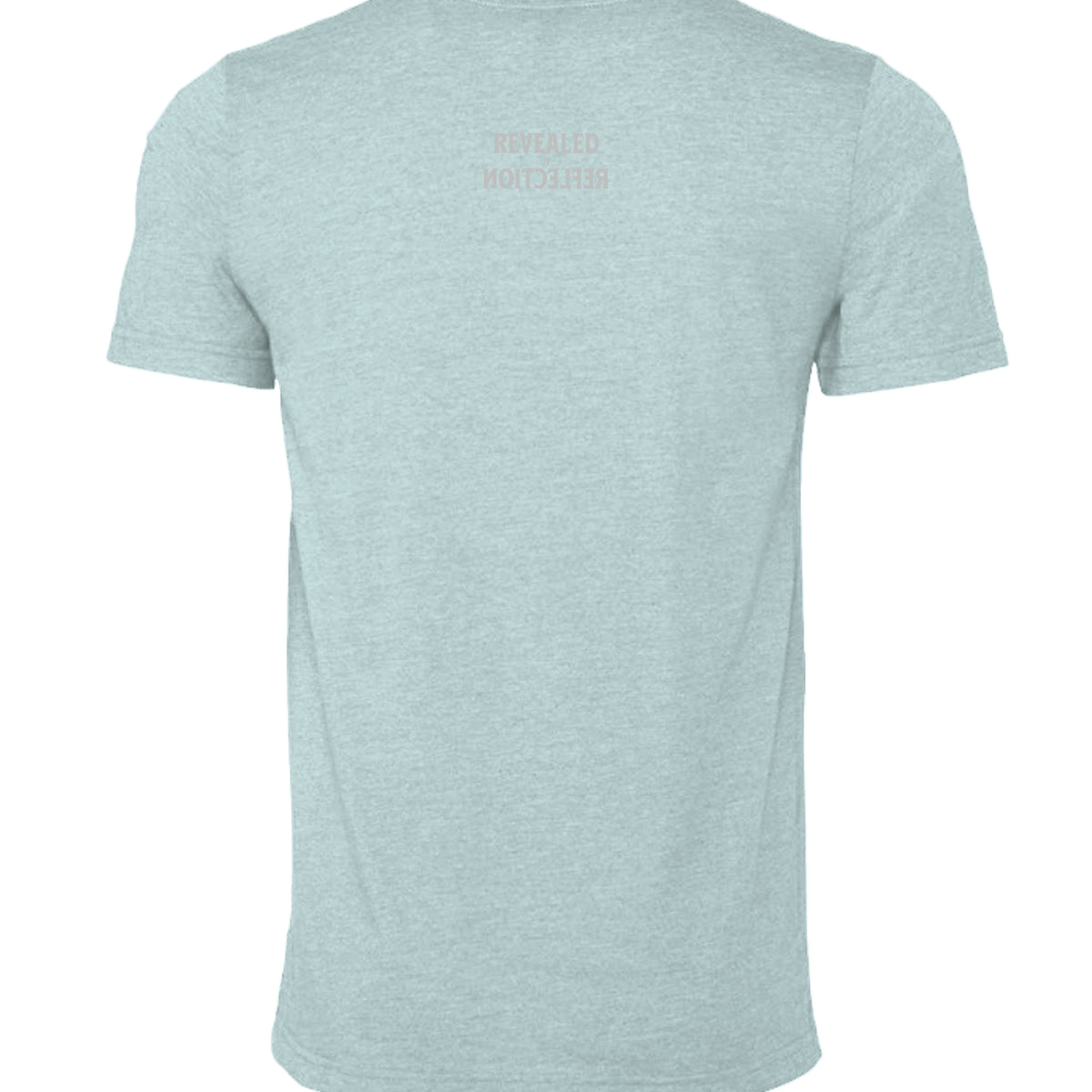 Heather Prism Dusty Blue - 3001CVC - BACK